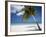 Negril, Jamaica, West Indies, Caribbean, Central America-Angelo Cavalli-Framed Photographic Print