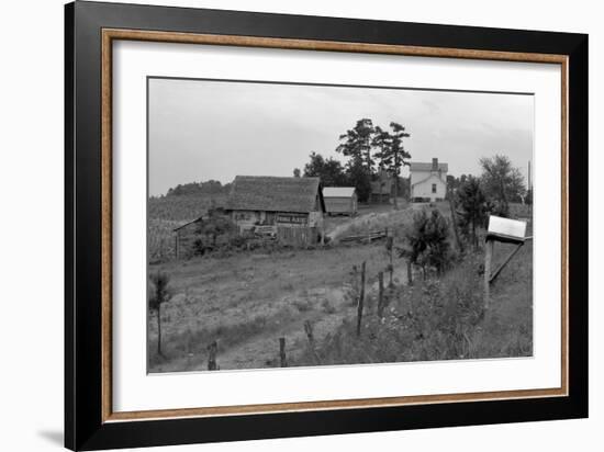 Negro Sharecropper Farm-Dorothea Lange-Framed Art Print