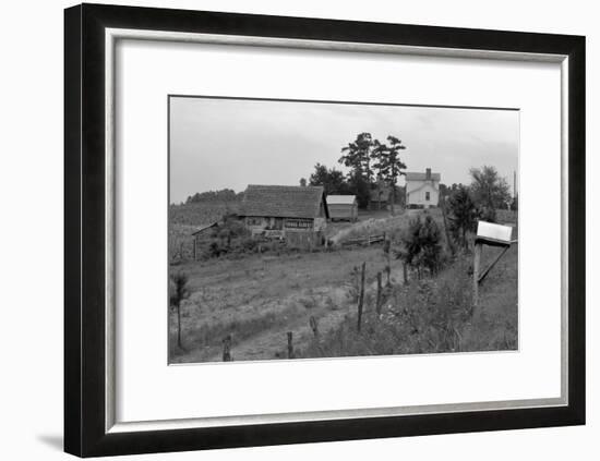 Negro Sharecropper Farm-Dorothea Lange-Framed Art Print