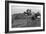 Negro Sharecropper Farm-Dorothea Lange-Framed Art Print