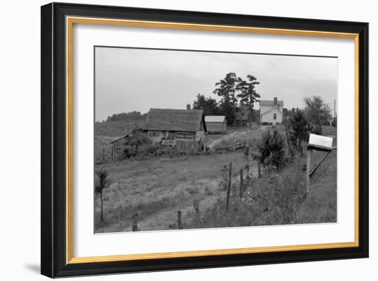 Negro Sharecropper Farm-Dorothea Lange-Framed Art Print