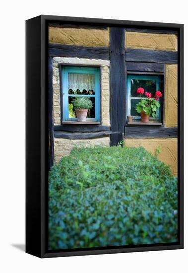 Neighbor Window-Philippe Sainte-Laudy-Framed Premier Image Canvas