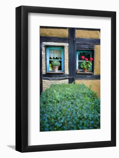 Neighbor Window-Philippe Sainte-Laudy-Framed Photographic Print