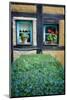 Neighbor Window-Philippe Sainte-Laudy-Mounted Photographic Print