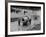 Neil Corner in a Bugatti at Oulton Park, Cheshire, June 1968-null-Framed Photographic Print