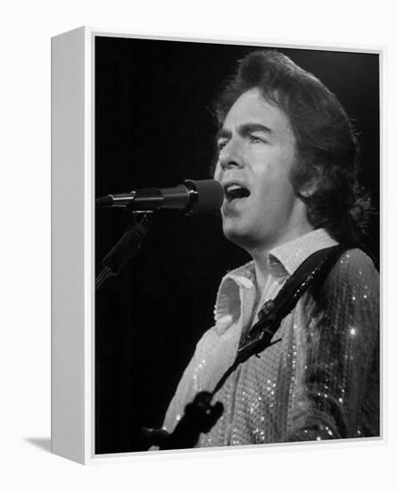 Neil Diamond-null-Framed Stretched Canvas