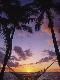 Premium Photographic Print