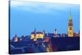 Stretched Canvas Print