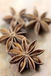 Star Anise-Neil Overy-Photographic Print