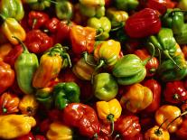 Capsicums at Brixton Market, Brixton, London, England-Neil Setchfield-Mounted Photographic Print