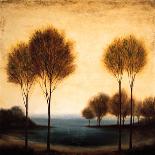 River Sunset I-Neil Thomas-Art Print