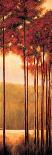 Reflections of Autumn I-Neil Thomas-Art Print