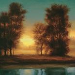 Misty Morning II-Neil Thomas-Framed Art Print