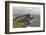 Neist Point Lighthouse in Isle of Skye, Scotland-mpalis-Framed Photographic Print