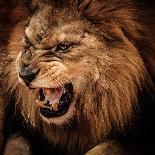 Roaring Lion Against Stormy Sky-NejroN Photo-Photographic Print