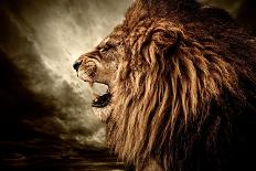 Roaring Lion Against Stormy Sky-NejroN Photo-Photographic Print