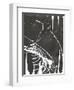 Neko 3-Emma Jones-Framed Giclee Print