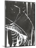 Neko 3-Emma Jones-Mounted Giclee Print
