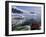 Neko Harbor, Gerlache Strait, Antarctic Peninsula, Antarctica, Polar Regions-Sergio Pitamitz-Framed Photographic Print