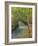 Nel bosco-Adriano Galasso-Framed Art Print