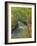 Nel bosco-Adriano Galasso-Framed Art Print