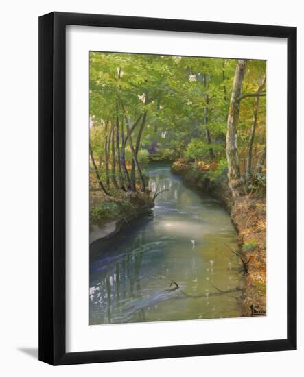 Nel bosco-Adriano Galasso-Framed Art Print