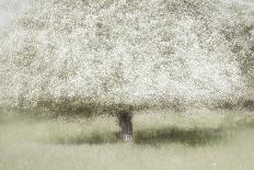All seasons-Nel Talen-Framed Photographic Print
