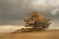 Pine and Dunes-Nel Talen-Giclee Print