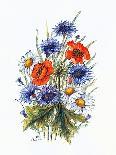Cornflower, Poppy and Ox-Eye Daisy-Nell Hill-Giclee Print