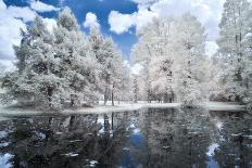 Infrared Landscape with White Trees and Water-Nelson Charette-Photographic Print