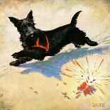 "Dog and Firecrackers,"July 1, 1936-Nelson Grofe-Framed Giclee Print