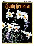 "Easter Lilies," Country Gentleman Cover, April 1, 1933-Nelson Grofe-Giclee Print