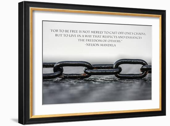 Nelson Mandela Freedom Quote-null-Framed Photo