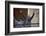 Nelson Mandela in France in 1990-Christian Lutz-Framed Photographic Print