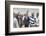 Nelson Mandela-David Brauchli-Framed Photographic Print