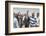 Nelson Mandela-David Brauchli-Framed Photographic Print