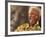 Nelson Mandela-Denis Farrell-Framed Photographic Print