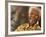 Nelson Mandela-Denis Farrell-Framed Photographic Print