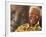 Nelson Mandela-Denis Farrell-Framed Photographic Print