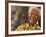 Nelson Mandela-Denis Farrell-Framed Photographic Print