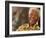 Nelson Mandela-Denis Farrell-Framed Photographic Print