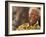 Nelson Mandela-Denis Farrell-Framed Photographic Print