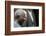 Nelson Mandela-Themba Hadebe-Framed Photographic Print