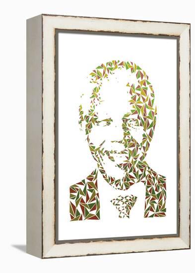 Nelson Mandela-Cristian Mielu-Framed Stretched Canvas