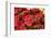 Nemesia, blossoms, red, close-up-David & Micha Sheldon-Framed Photographic Print
