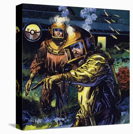 Stretched Canvas Print, , large
