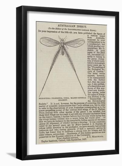 Nemoptera Filipennis, India, Major-General Hearsey-null-Framed Giclee Print