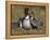 Nene, Branta Sandvicensis, Hawaiian Goose with Goslings, Burscough-Steve & Ann Toon-Framed Premier Image Canvas