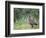 Nene Hawaiian Goose on the Island of Kauai, Hawaii, USA-David R. Frazier-Framed Photographic Print