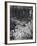 Nenuphars-Eugene Atget-Framed Giclee Print